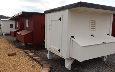 4×6 Chicken Coops! JUST $900